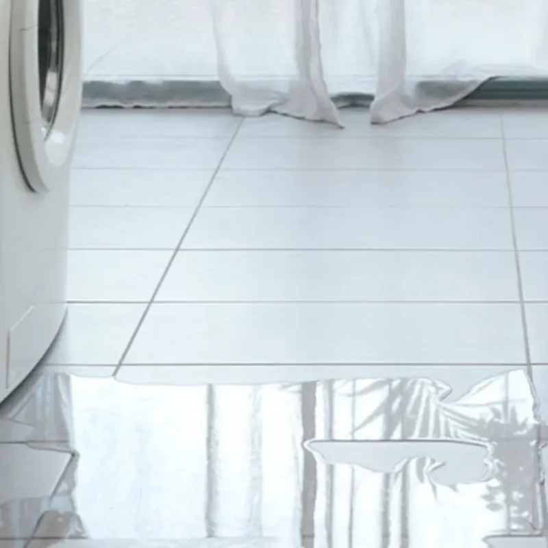 Appliance Leak Cleanup in Madison, AL