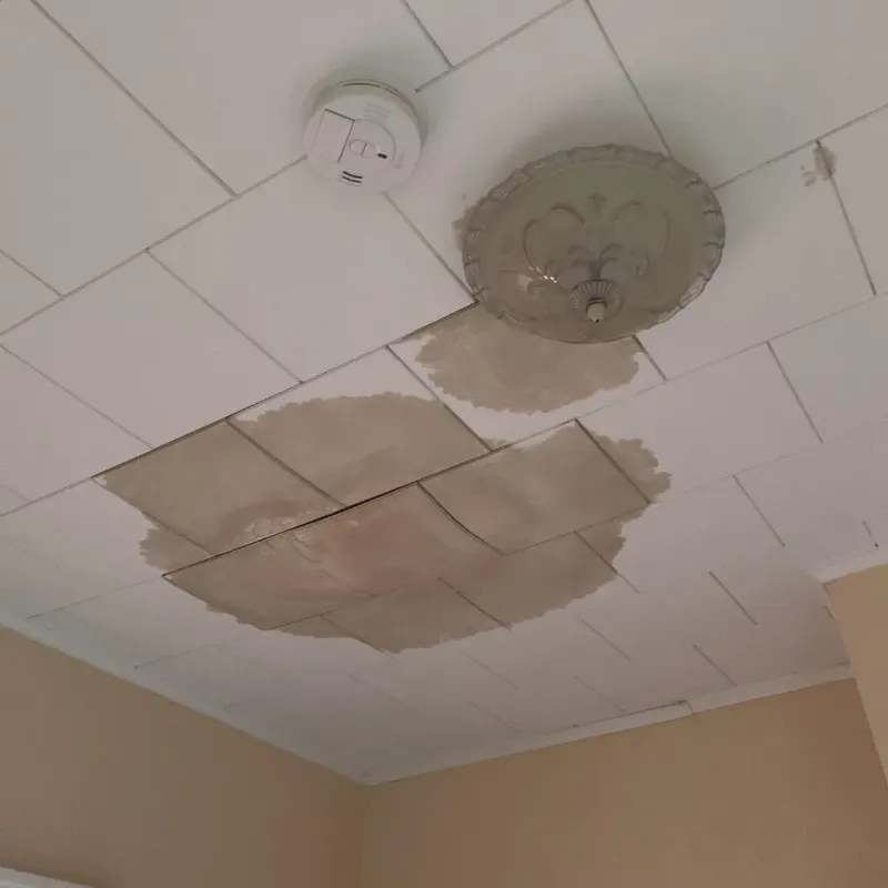 Ceiling Water Damage Repair in Madison, AL