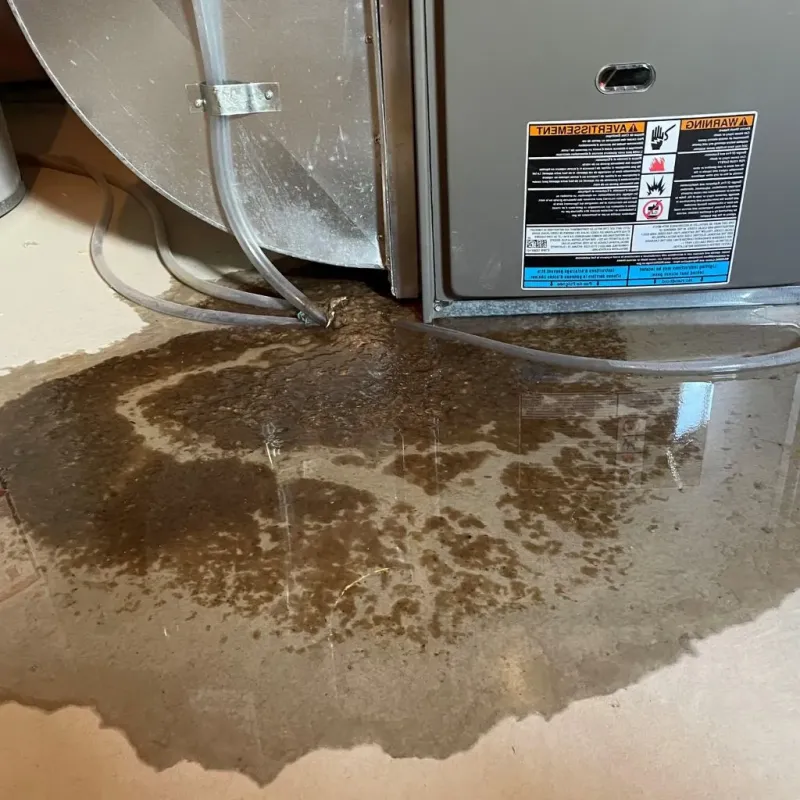 Pipe Burst and Leak Restoration in Madison, AL