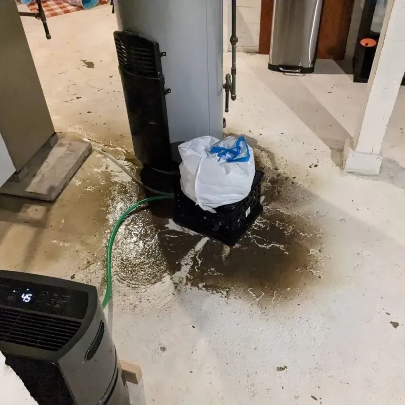 Sewage Backup Cleanup Service in Madison, AL